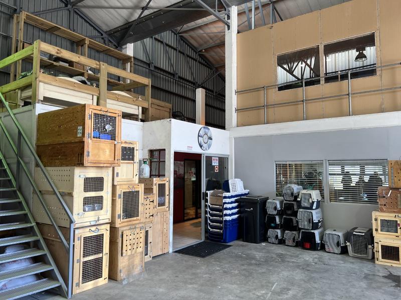 To Let commercial Property for Rent in Airport Industria Western Cape